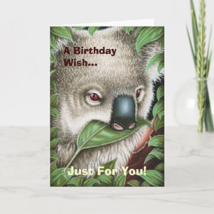 Koala som mumsar ett lövfödelsedagkort kort