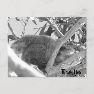 Koala sover, svartvit bild, Australien Vykort