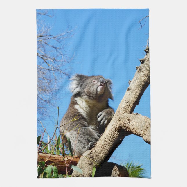 Koala-tid att reflektera över livet. kökshandduk (Vertikal)