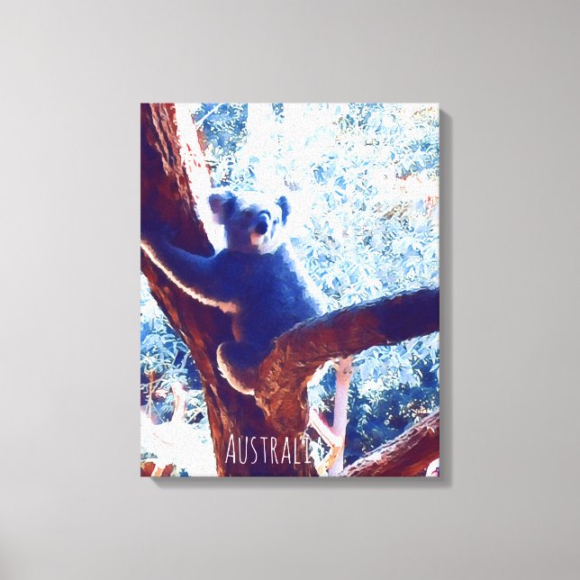 Koala (träd), Australien Canvastryck (Framsida)