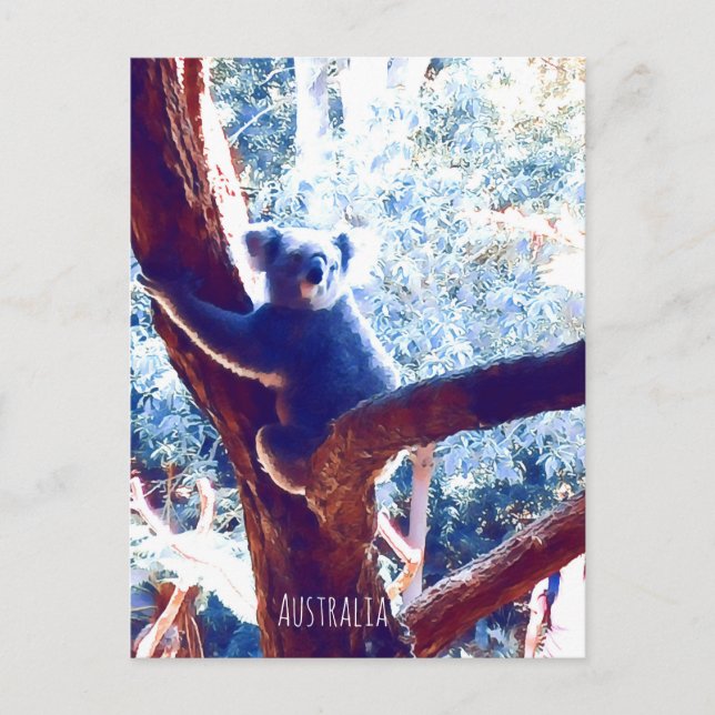 Koala (träd), Australien Vykort (Framsida)