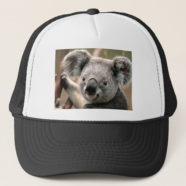 Koala Truckerkeps (Framsida)