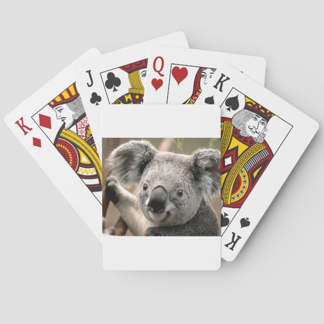 koala un animal unico kortlek (Baksidan)
