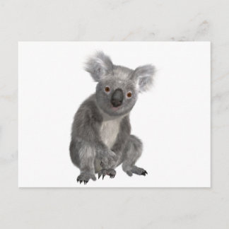 Koala Vykort