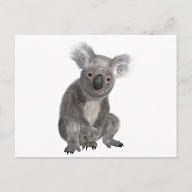 Koala Vykort (Framsida)