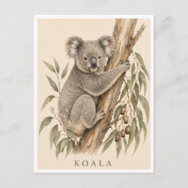 Koala vykort | Bush Edition