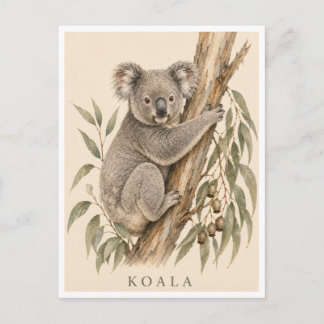 Koala vykort | Bush Edition