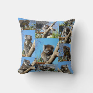 "Koala Wonders: A Heartwarming Photo Collage" Kudde