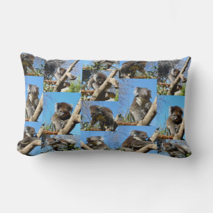 "Koala Wonders: A Heartwarming Photo Collage" Lumbarkudde