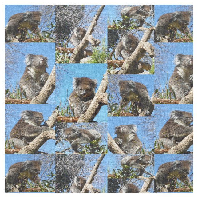 "Koala Wonders: A Heartwarming Photo Collage" Tyg (Närbild)
