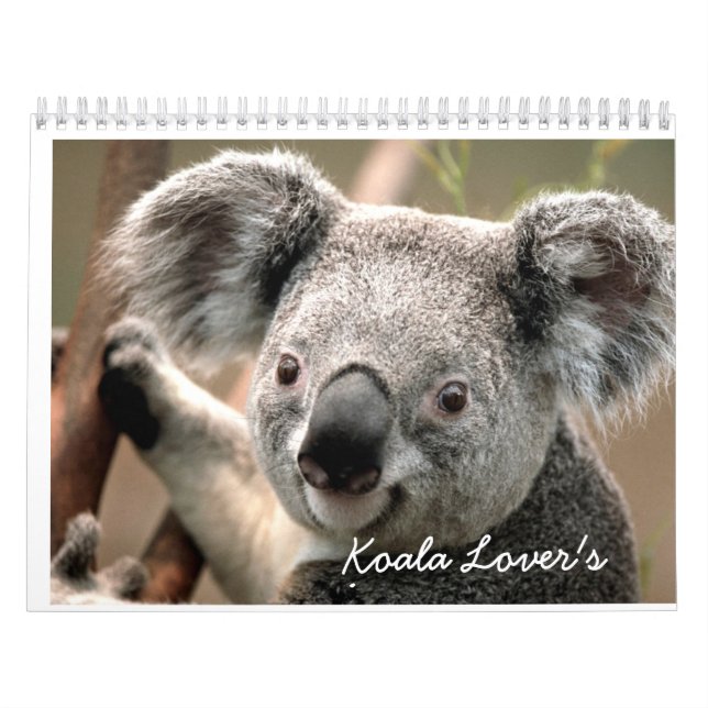 Koalaälskare kalender (Omslag)