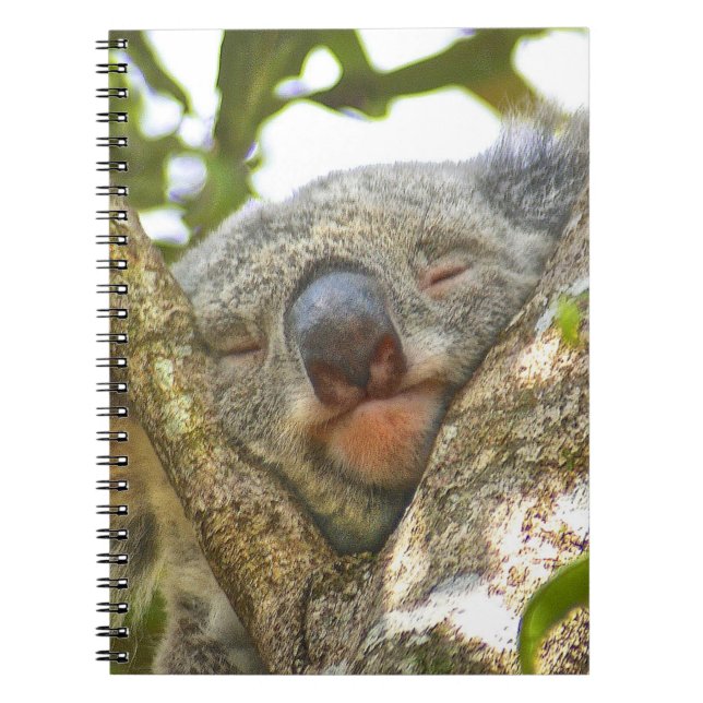 Koalaanteckningsbok Anteckningsbok Med Spiral (Framsidan)
