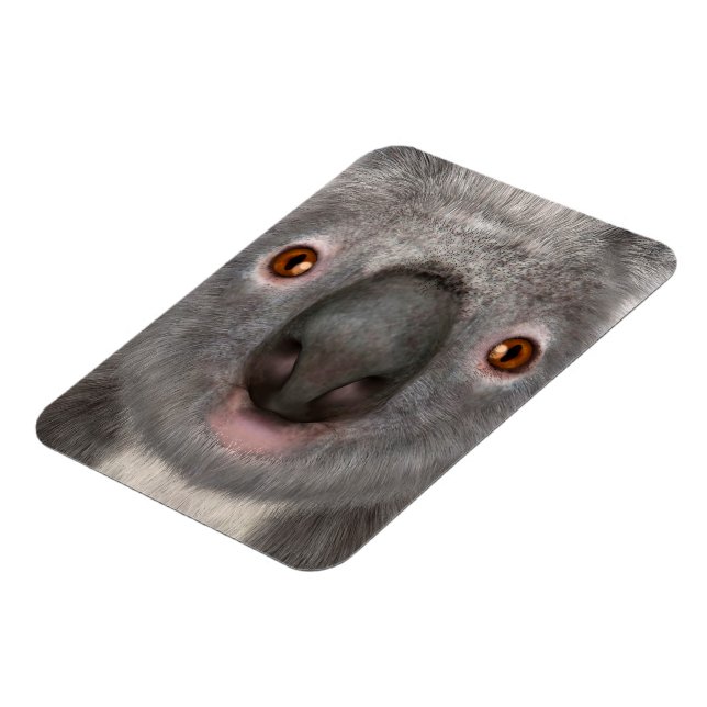 Koalabjörn Magnet (Vänstra Sidan)