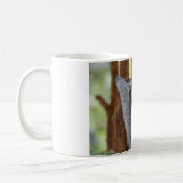 Koalabjörnmugg Kaffemugg