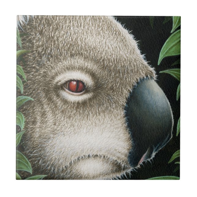 Koalaen belägger med tegel kakelplatta (Framsidan)