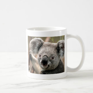 Koalaen fodrar kaffemugg