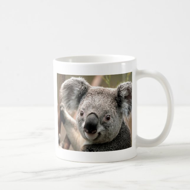 Koalaen fodrar kaffemugg (Höger)