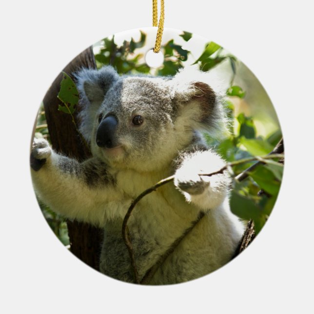 Koalaen uthärdar den Aussi Outback ödenaturen Julgransprydnad Keramik (Framsidan)