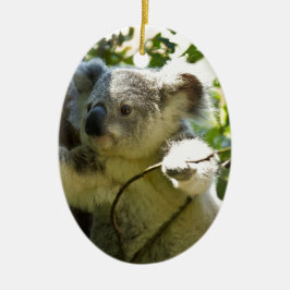Koalaen uthärdar den Aussi Outback ödenaturen Julgransprydnad Keramik
