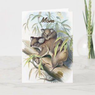 Koalaen uthärdar mors dag kort