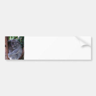 Koalafamiljbildekal Bildekal