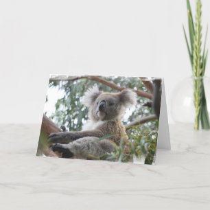 Koalahälsningkort Kort