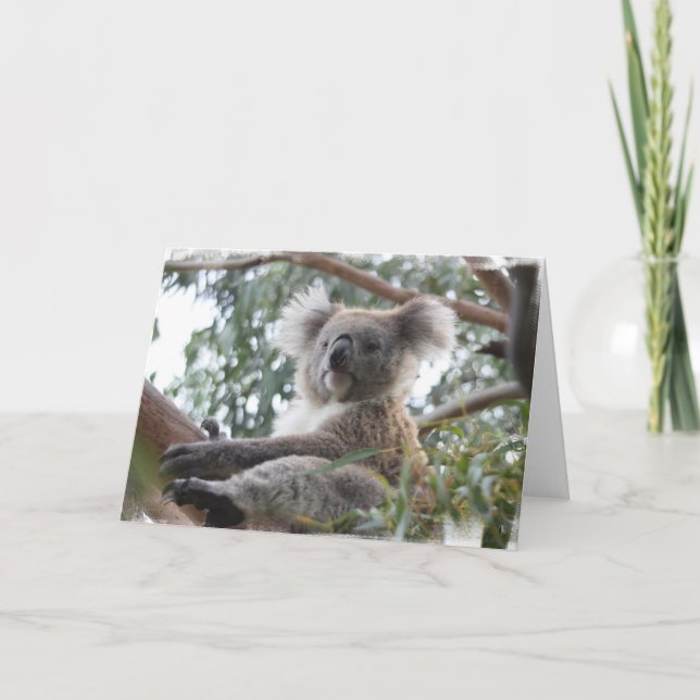 Koalahälsningkort Kort (Framsida)