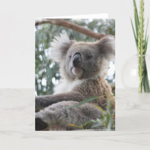 Koalahälsningkort Kort