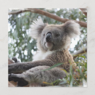 Koalainbjudningar Inbjudningar