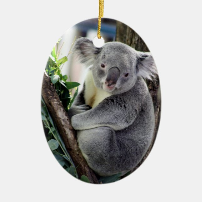 Koalajul Julgransprydnad Keramik (Framsidan)