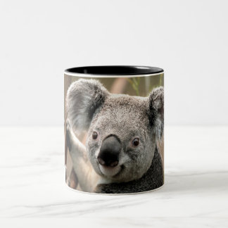 Koalamugg Två-Tonad Mugg