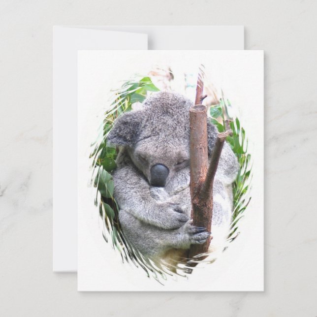 Koalaomfamninginbjudan Inbjudningar (Framsida)
