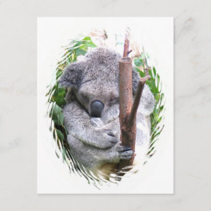 Koalaomfamninginbjudan Inbjudningar