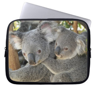 KoalaPhascolarctoscinereus Queensland. Laptop Fodral