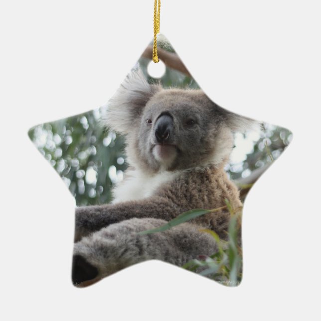 Koalaprydnad Julgransprydnad Keramik (Framsidan)
