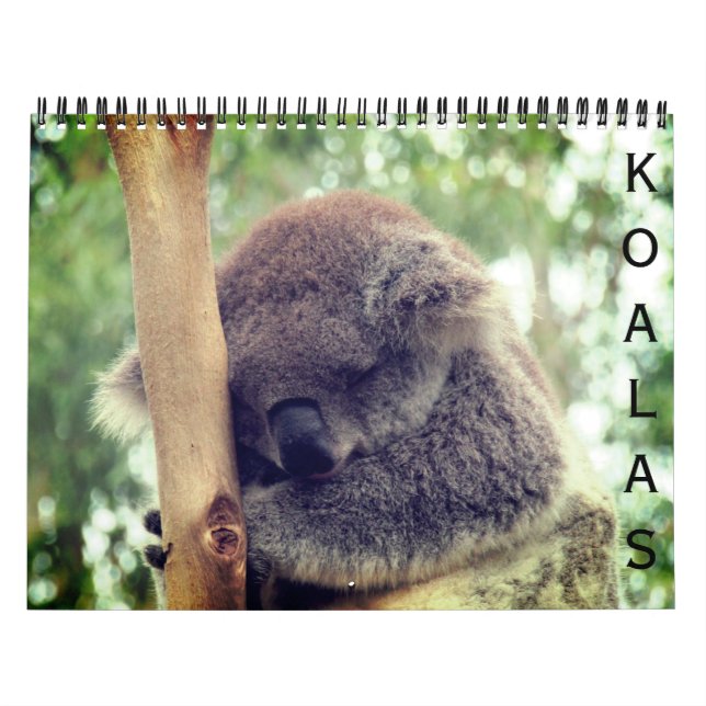 Koalas 2025 kalender (Omslag)