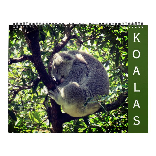 Koalas 2025 stor kalender (Omslag)