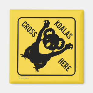 Koalas korsar här magneten magnet