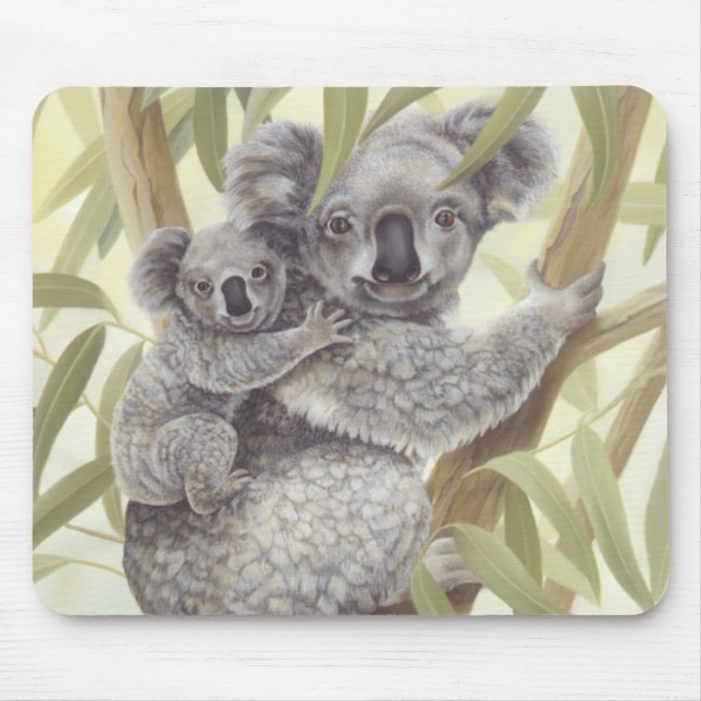 Koalas Musmatta (Framsidan)