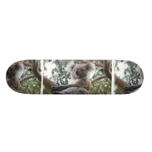 KoalaSkateboard Old School Skateboard Bräda 18 Cm