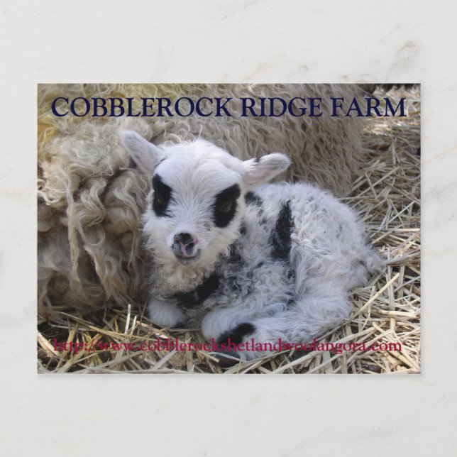 KOBBLEROCK RIDGE FARM POSTKORT VYKORT (Framsida)