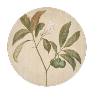 Kobolt Deco-panel I