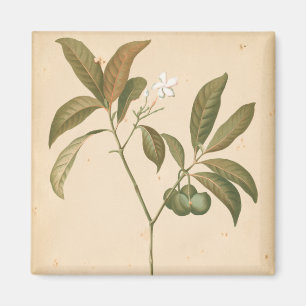 Kobolt Deco-panel I Magnet