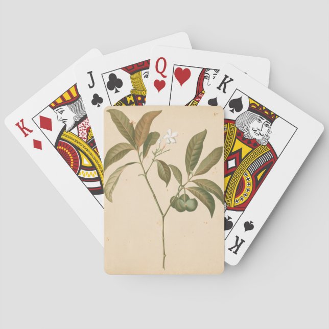 Kobolt Deco-panel I Spel Kort (Baksidan)