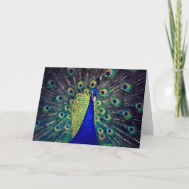 Koboltblått peacock-märkt gratulationskort kort