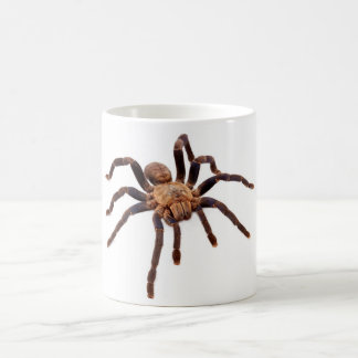 KoboltblåttTarantula. Kaffemugg