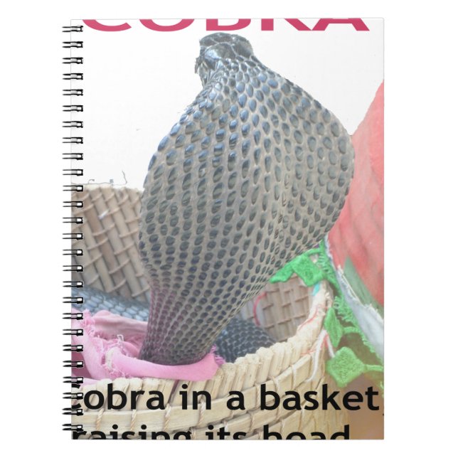 Kobra i Basket Art Print Anteckningsbok Med Spiral (Framsidan)