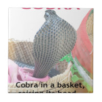 Kobra i Basket Art Print