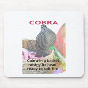 Kobra i Basket Art Print Musmatta