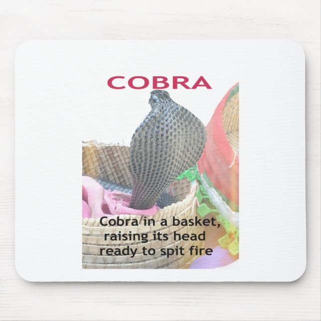 Kobra i Basket Art Print Musmatta (Framsidan)